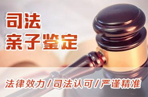 湖南司法DNA亲子鉴定的流程,湖南司法DNA鉴定哪里做
