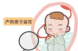 湖南怀孕亲子鉴定正规机构到哪，湖南怀孕亲子鉴定准确率高吗